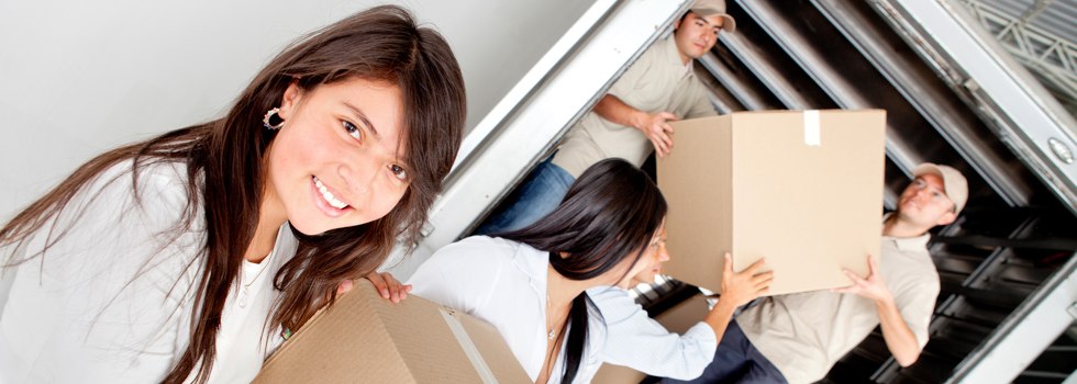Professional Removalists East Newdegate